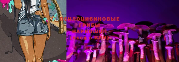 метамфетамин Алексеевка