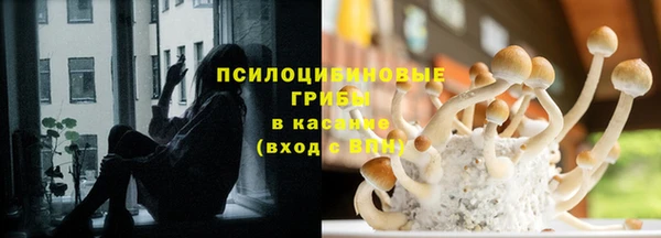 трава Алзамай