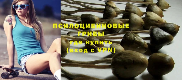 трава Алзамай