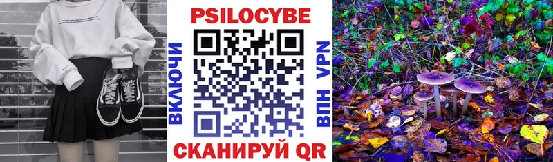 Псилоцибиновые грибы мухоморы гидра сайт Кольчугино продажа наркотиков